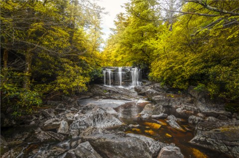 A Forked Forest Road In West Virginia Leads To Either Big Run Falls Or Olson Fire Tower