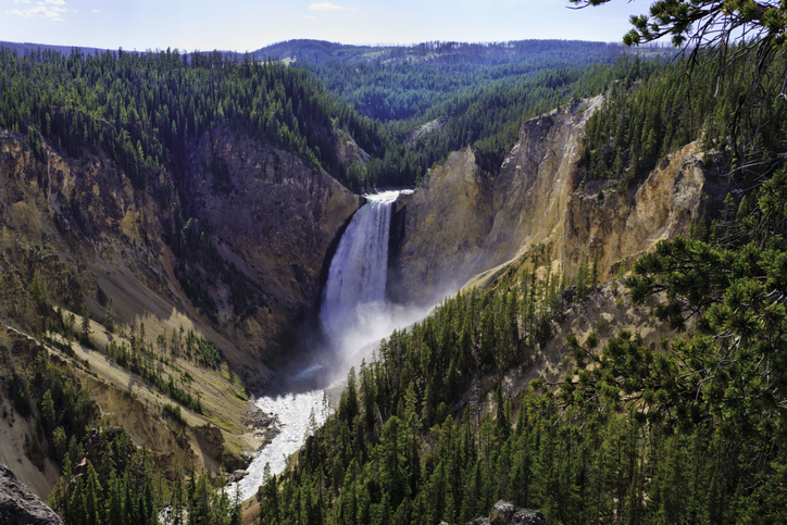 Wyoming banner image