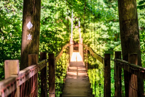 The Sheltowee Trace Trail Is The Single Most Dangerous Hike In All Of Kentucky