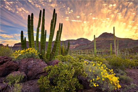 The One National Parks In Arizona That Every True Arizonan Should Visit At Least Once