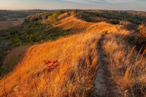 7 Incredible Natural Wonders In Iowa That You Can Witness For Free