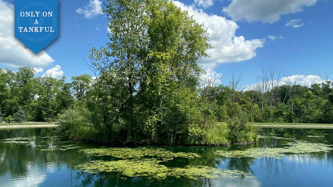 Western Ohio Is Home To Some Of The Best Burgers And Hiking Trails In The State And This Day Trip Proves It