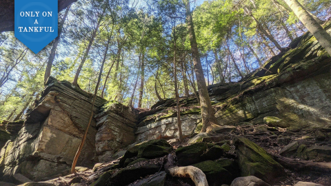 There's No Better Way To Spend A Summer Day Than This Burger And Trail Day Trip In Northeast Ohio