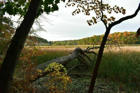 Explore New York's Old Rifle Range Trail For A Scenic Hike Through The Forest