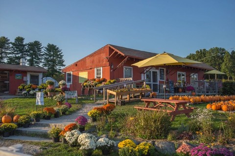 Admission-Free, The Emery Farm Petting Zoo In New Hampshire Is The Perfect Day Trip Destination