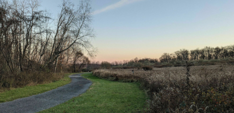 A Scenic 1-Mile Hike In New Jersey That Takes You Past The Prettiest Wildflowers And A Waterfall