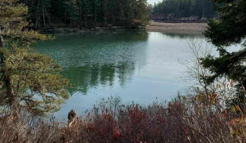 Take An Easy Loop Trail Past Some Of The Prettiest Scenery In Maine On Ship Harbor Trail