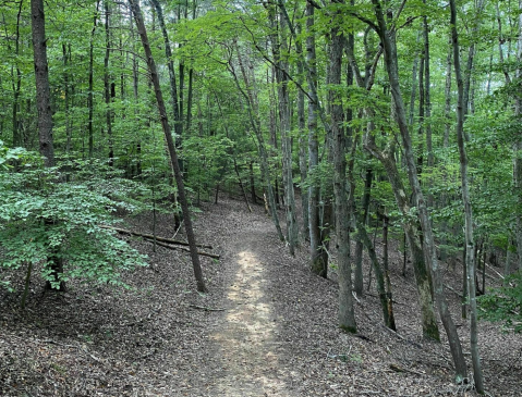 Enjoy Breathtaking Smith Mountain Lake Views When You Hike The Chestnut Ridge Trail In Virginia