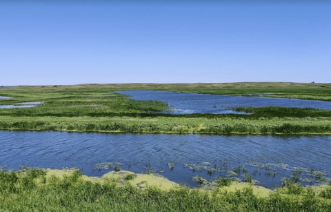 Experience A Beautiful North Dakota Wildlife Refuge In The Spring At Arrowwood