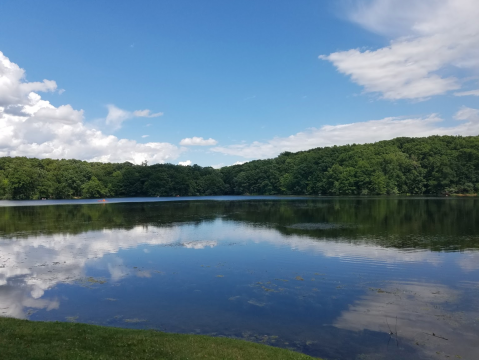 Metamora-Hadley Recreation Area Is A Sprawling Michigan Park That Surrounds An 80-Acre Lake