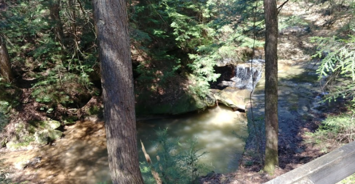 water at Boord State Nature Preserve in Ohio