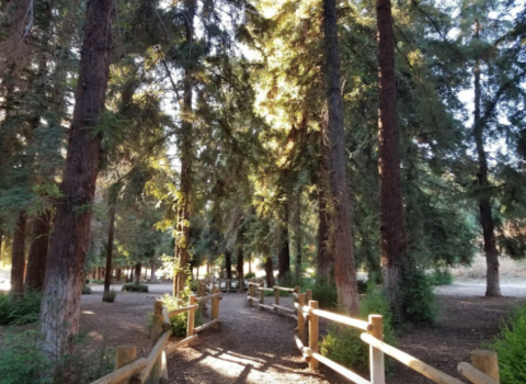 a hiking trail in Carbon Canyon Regional Park in California