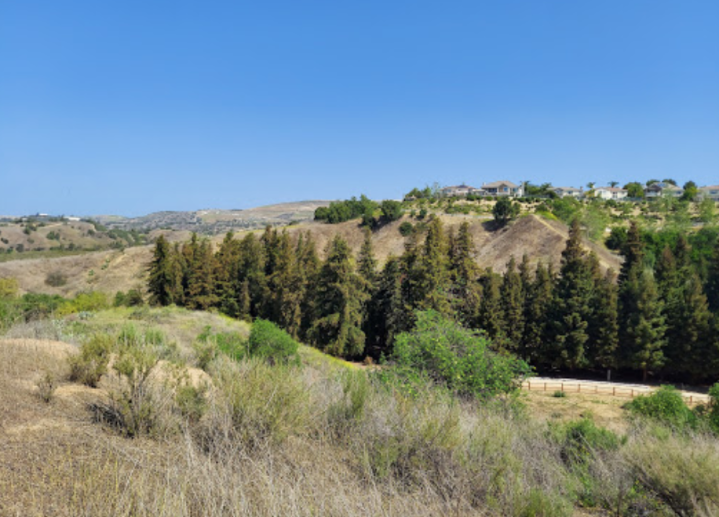 a view from Carbon Canyon Regional Park in California