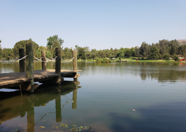 a pond in Carbon Canyon Regional Park in California