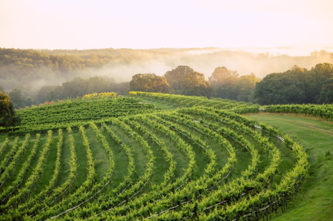 Road Trip To 4 Different Vineyards In Georgia On The Dahlonega Wine Tour