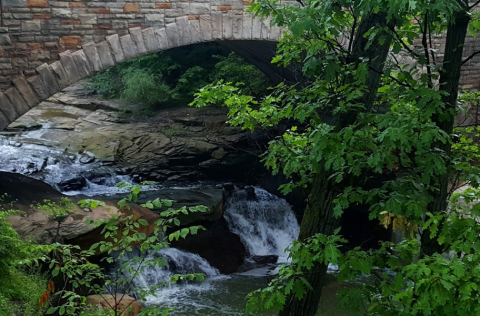 There’s A Secret Waterfall Near Cleveland In Chippewa Creek Gorge, And It’s Worth Seeking Out