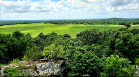 Williams Hollow Trail Is A Gorgeous Forest Trail In Arkansas That Will Take You To A Hidden Overlook