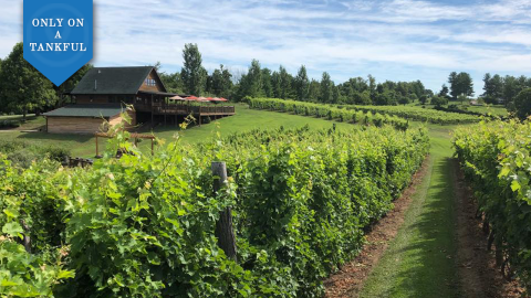 This Wine And Waterfall Pair Perfectly For An Afternoon Adventure In Southeast Ohio