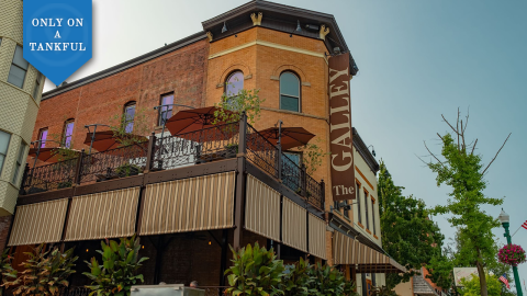 The Southern Ohio Day Trip That Leads To A Scenic Hike And Burger Joint Will Surely Satisfy Your Wanderlust