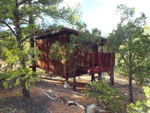 Sleep Among Towering Junipers and Pines At The Sunrise Treehouse In New Mexico