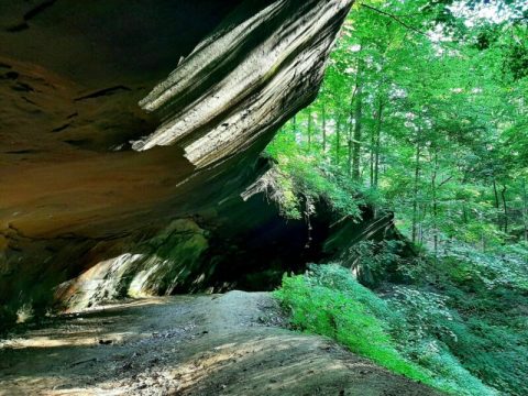 Indiana's Incredible Tecumseh Trail Is Worth A Visit From Any Corner Of The State