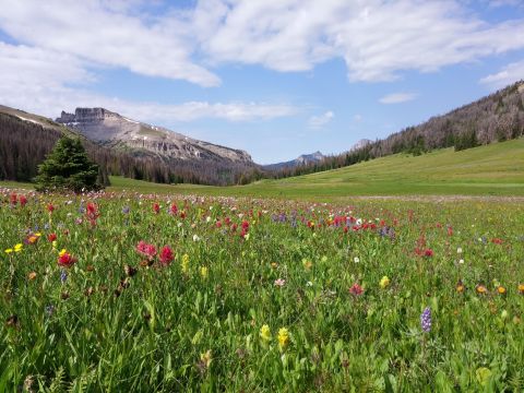 The Du Noir Trail Offers Some Of The Most Breathtaking Views In Wyoming