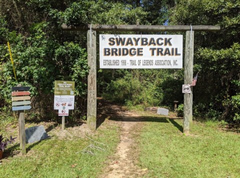 Walk Across A 290-Foot Bridge On Swayback Bridge Trail In Alabama