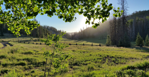 The Most Unique Campground In Arizona That’s Pure Magic