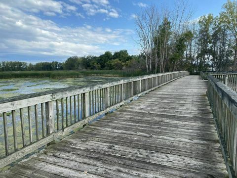 The Cherry Island Marsh Trail Offers Some Of The Most Breathtaking Views Of Detroit’s Surroundings