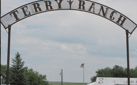 You'll Never Forget A Visit To Terry Bison Ranch, A One-Of-A-Kind Farm Filled With Big Animals In Wyoming