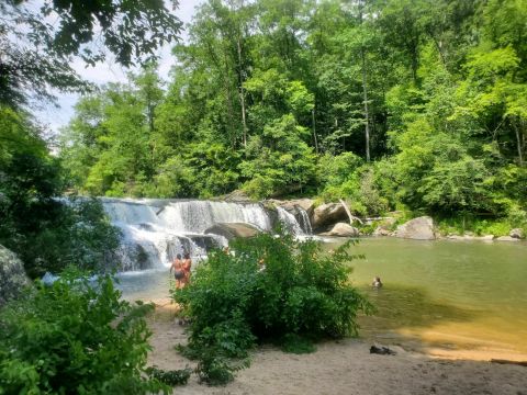 Hike To An Emerald Lagoon On The Easy Riley Moore Trail In South Carolina