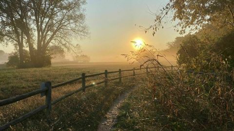 Kansas River Trail Is A Gorgeous Forest Trail In Kansas That Will Take You To A Hidden Overlook