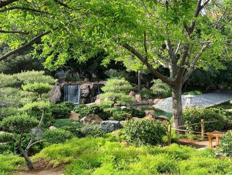 A Lush Oasis In The Arizona Desert, The Japanese Friendship Garden Of Phoenix Is A Peaceful Escape