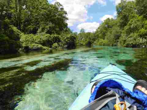 Kayak Along The Weeki Wachee River Through This Incredibly Scenic Area Of Florida