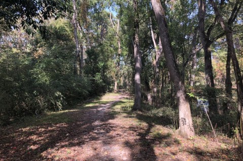 Take A Stroll Along Alabama's Lagoon Park Trail For The Perfect Spring Adventure