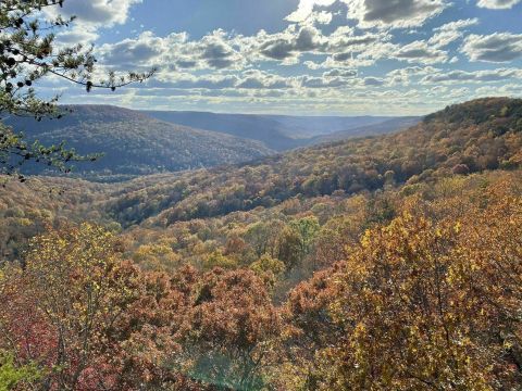 Explore 1,157 Acres Of Unparalleled Views Of Waterfalls On The Scenic Virgin Falls Trail In Tennessee