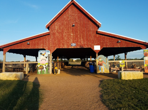 Admission-Free, The Preston Trail Farms Petting Zoo In Texas Is The Perfect Day Trip Destination