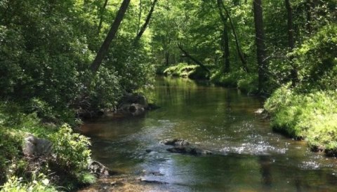 Spend The Perfect Day Outdoors At Prince William Forest Park, Virginia's Little-Known National Park