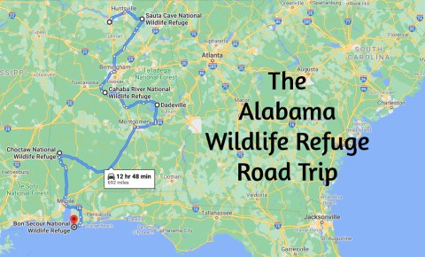 This Alabama Road Trip Lets You Experience 5 Of The State's Most Scenic Wildlife Refuges