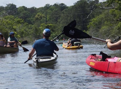 A Trip Down The Alabama Scenic River Trail Will Bring Out The Adventurer In You