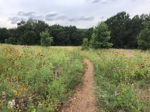 7 Easy And Beautiful Spring Hikes Everyone In Texas Will Love