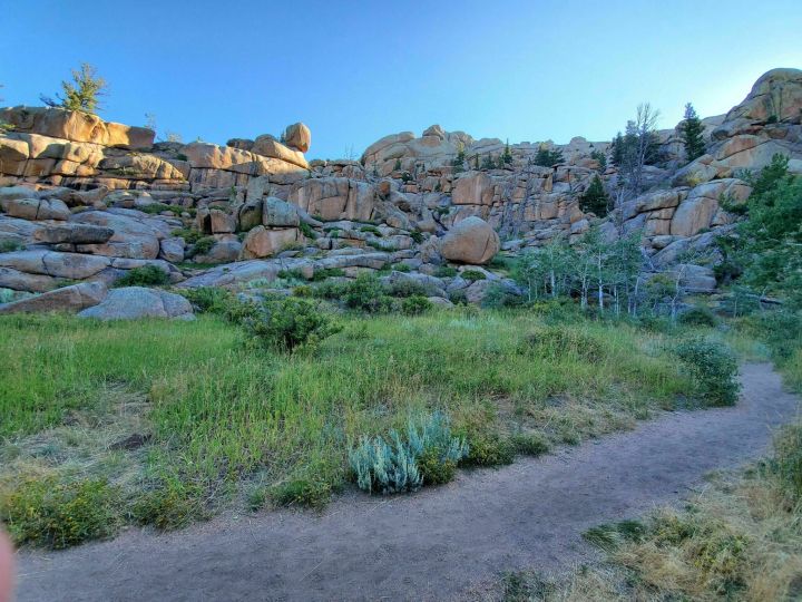 grass and rocks on Turtle Rock Loop Trail in Wyoming