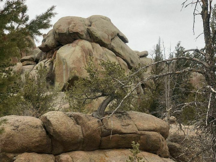 sights to see on Turtle Rock Loop Trail in Wyoming