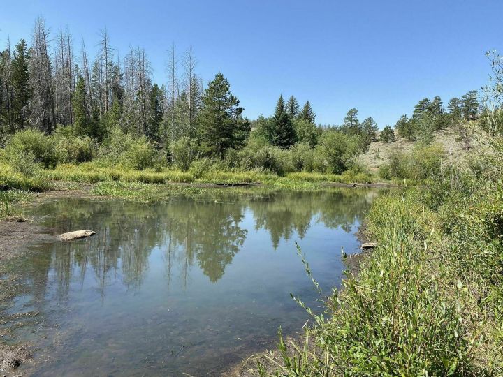 small pond on Turtle Rock Loop Trail in Wyoming