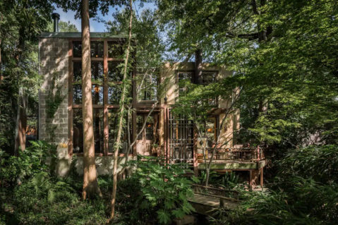 This Whimsical Treehouse Is The Most Bookmarked Airbnb In Texas And It's So Easy To See Why