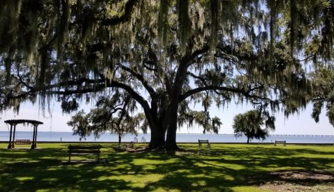 According To Safewise, These Are The 10 Safest Cities To Live In Louisiana In 2021