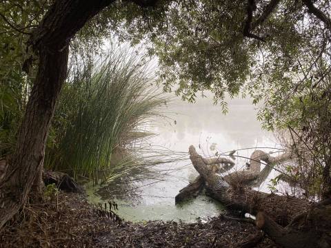 The Unique, Out-Of-The-Way Nature Center In Southern California That's Always Worth A Visit