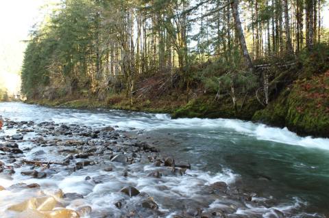 The 5-Mile Wilson River Trail In Oregon Is Full Of Jaw-Dropping Natural Pools