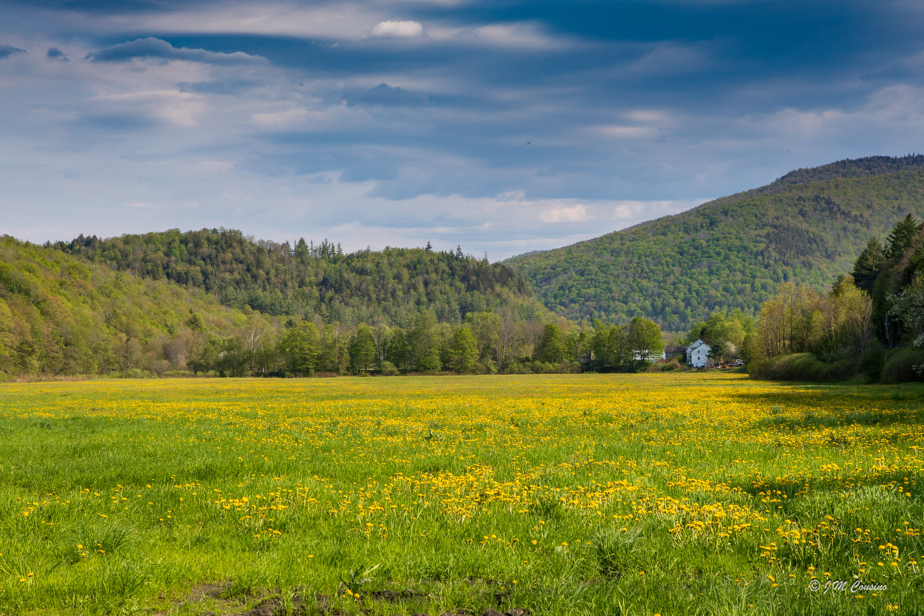 Vermont banner image