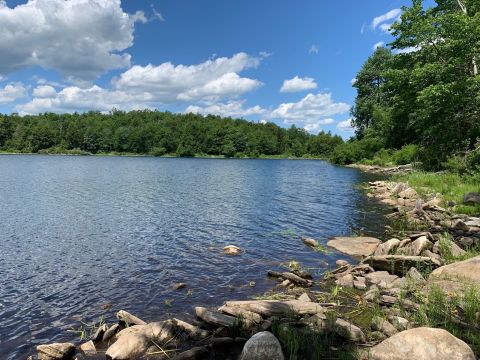 Cool Off At The Hidden Finerty Pond In Massachusetts' October Mountain State Forest